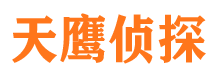 合江市调查公司